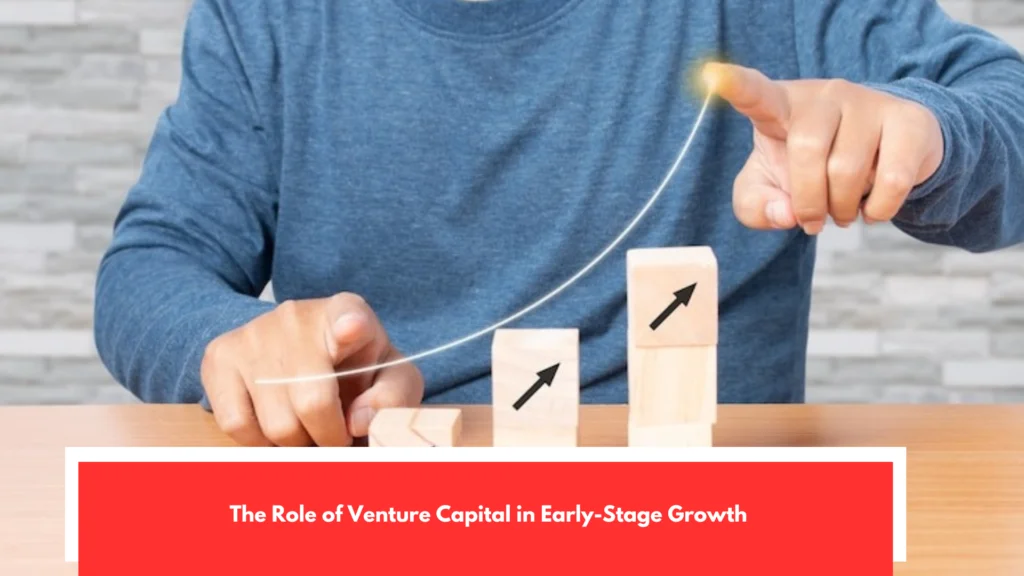 The Role of Venture Capital in Early-Stage Growth